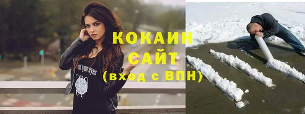 сатива Осташков