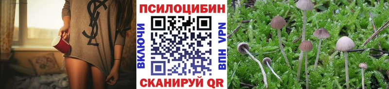 цена   blacksprut сайт  Галлюциногенные грибы GOLDEN TEACHER  Безенчук 